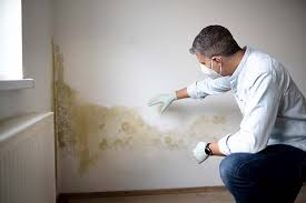 Mold Odor Removal Services in Artondale, WA